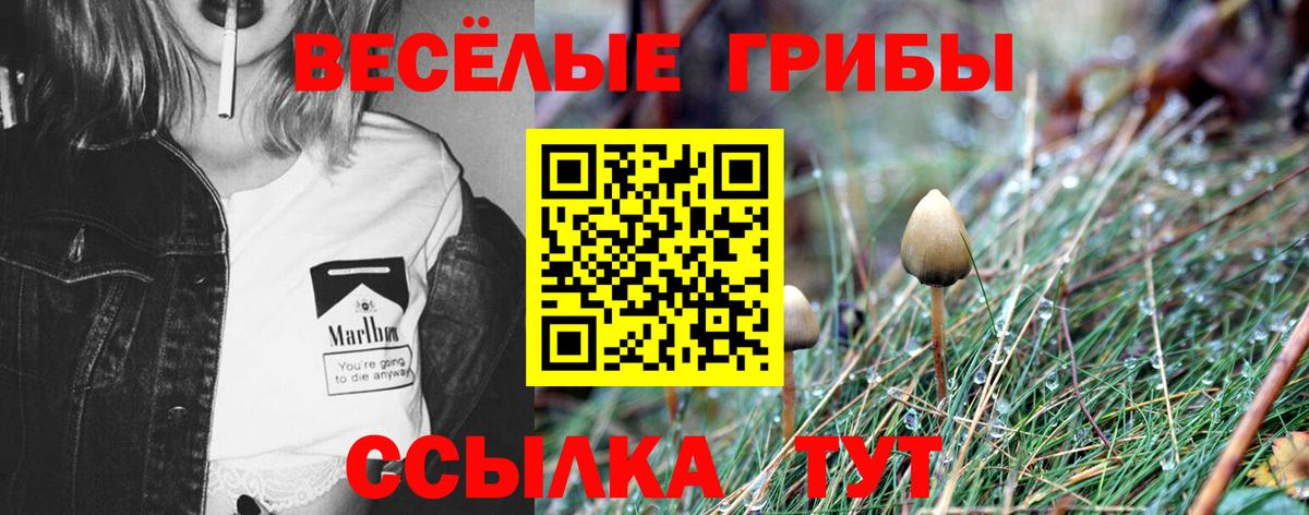 Псилоцибиновые грибы прущие грибы Междуреченск